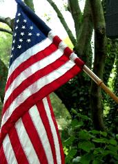 US Flag picture